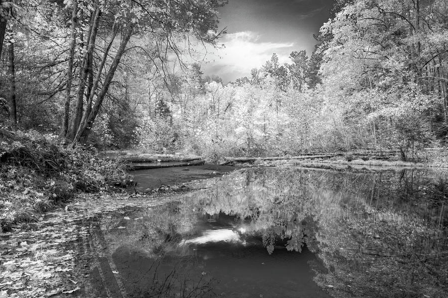 Peaceful Stream Black and White Photograph by Debra and Dave Vanderlaan