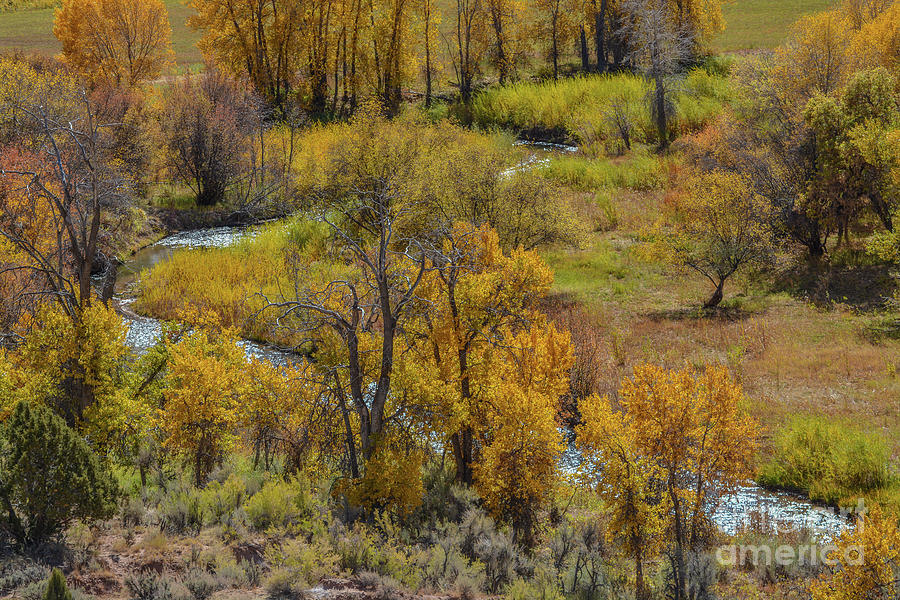 Peaceful stream flowing through the trees of colorful autumn leaves in ...