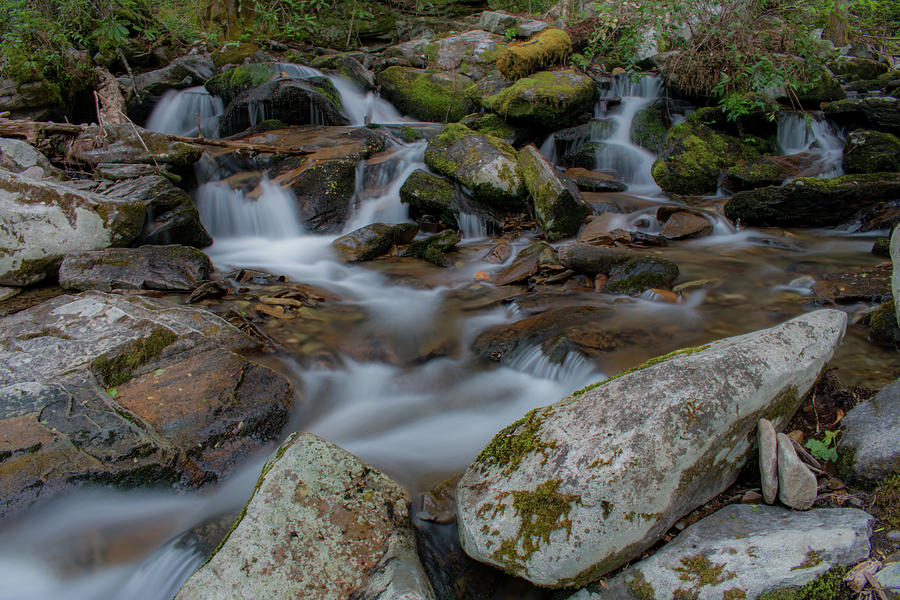 Peaceful Stream Photograph by Julie Reece - Fine Art America