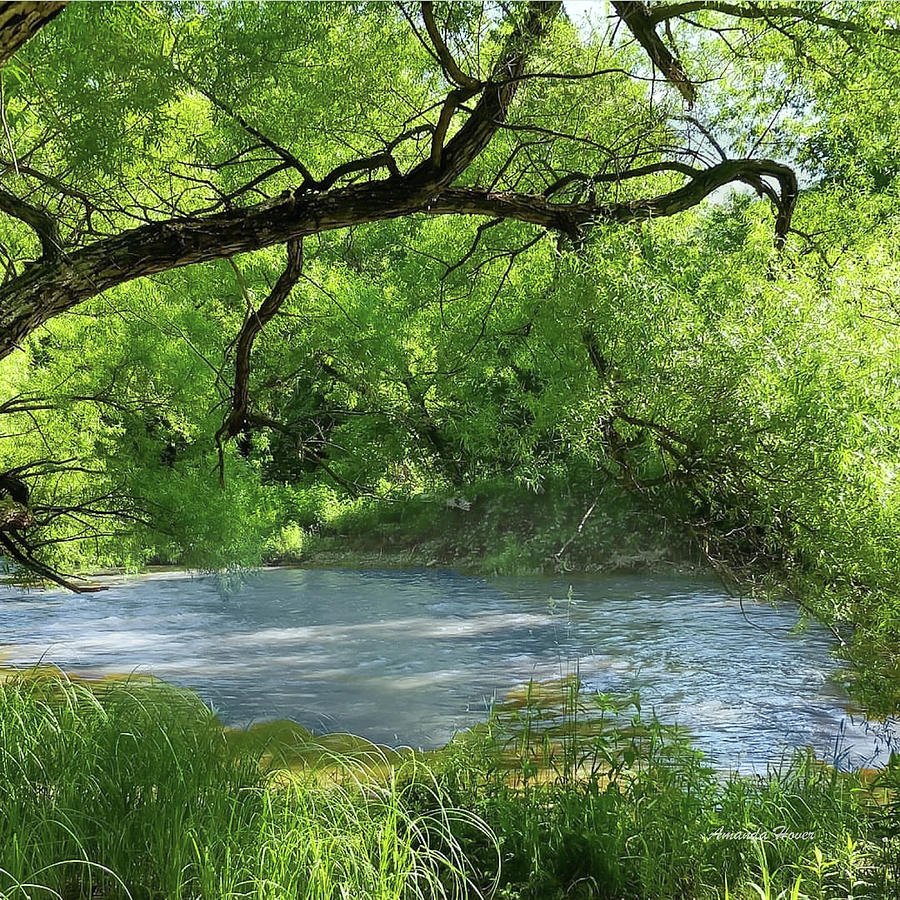 Peaceful Stream Photograph by Panders