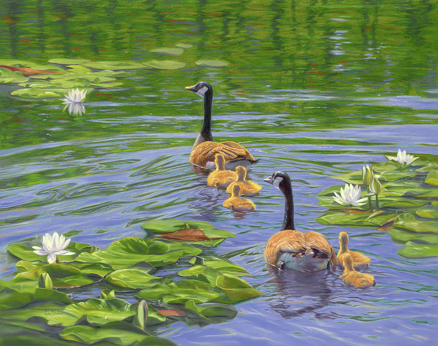 Peaceful Swim Painting by Lucie Bilodeau