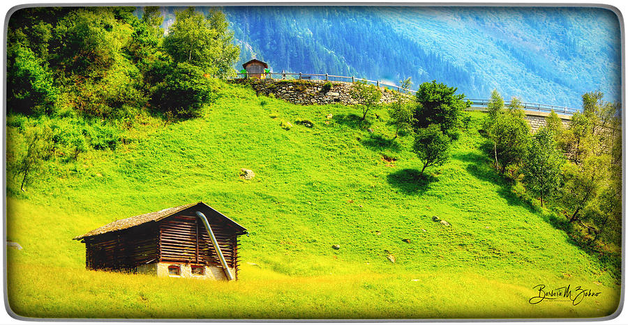 Peaceful Swiss Mountain Meadow Photograph by Barbara Zahno