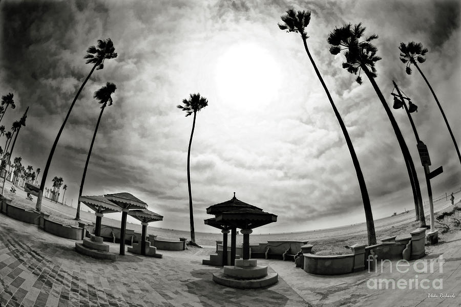 Peaceful Venice Beach Los Angeles Black And White Photograph by Blake Richards