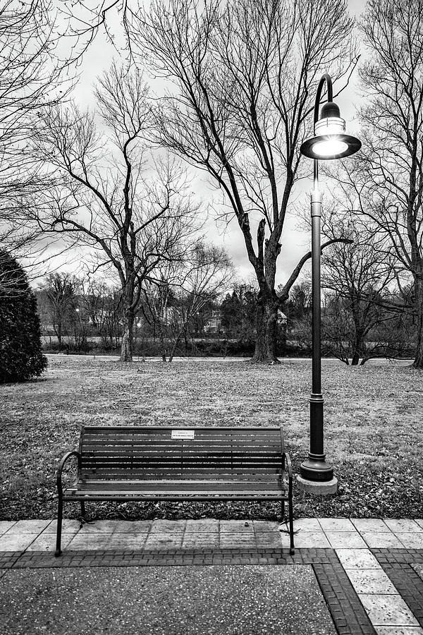 Peaceful View In The Park - Black and White  Photograph by Dave Morgan