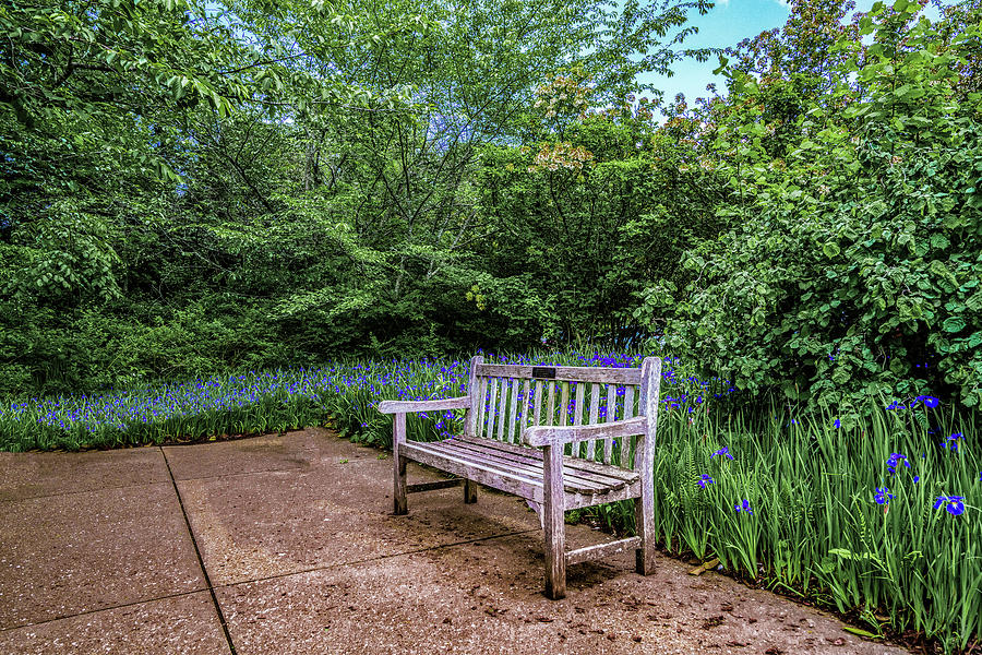 Peaceful View Of A Park Bench and Flowers at The Cheekwood Estate and Gardens Nashville Tennessee Photograph by Dave Morgan