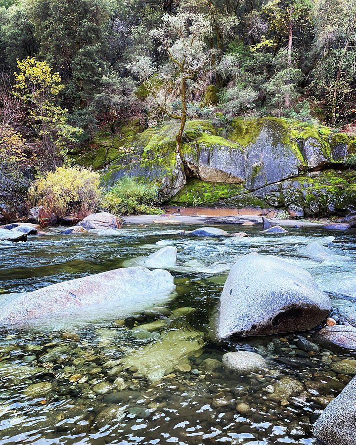 Peaceful Yuba River scene Photograph by Monica Hughes Peaceful Yuba River scene Photograph by Monica Hughes