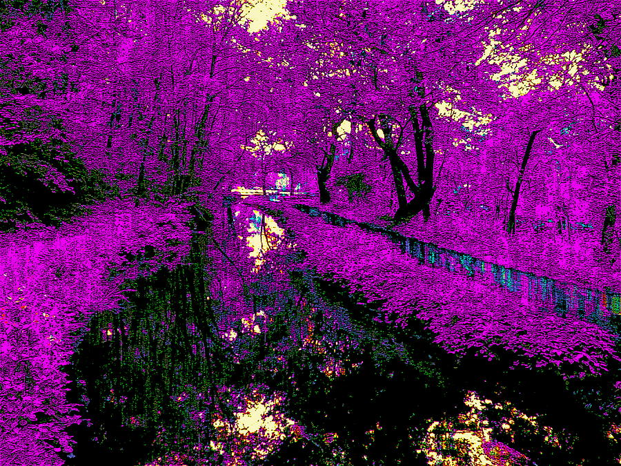 Peacefully Purple Digital Art by Cliff Wilson