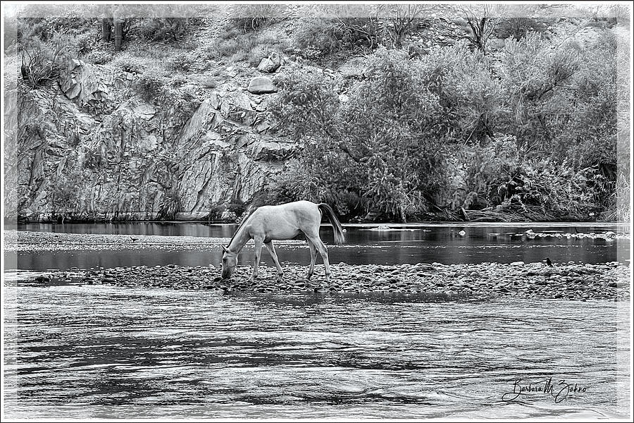 Peacefulness at the River  Photograph by Barbara Zahno