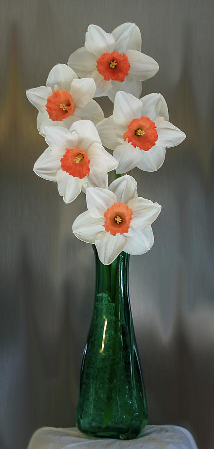Peach Daffodil Vase  Photograph by Patti Deters