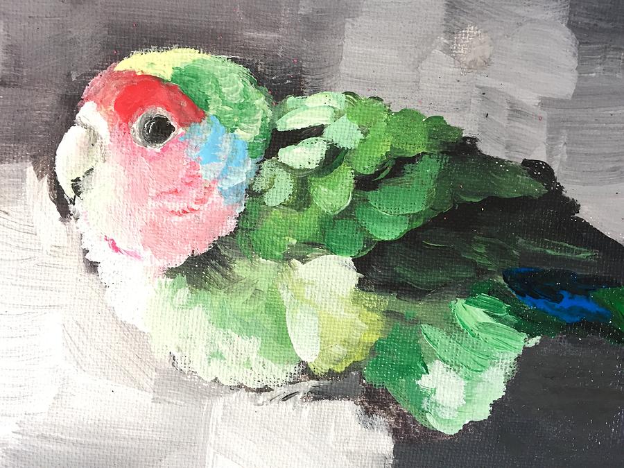 Peach-faced Lovebird Painting by Danielle Rosaria