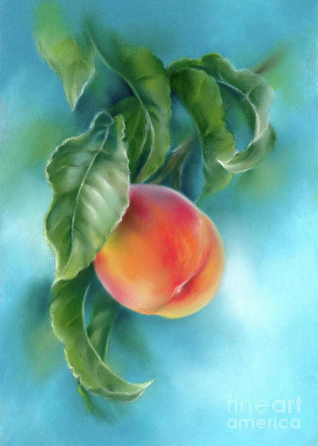 Peach Fruit on a Branch with Leaves Painting by MM Anderson