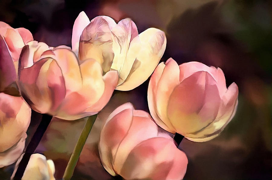Peach Pink Tulip Grouping Digital Painting Mixed Media by Sandi OReilly