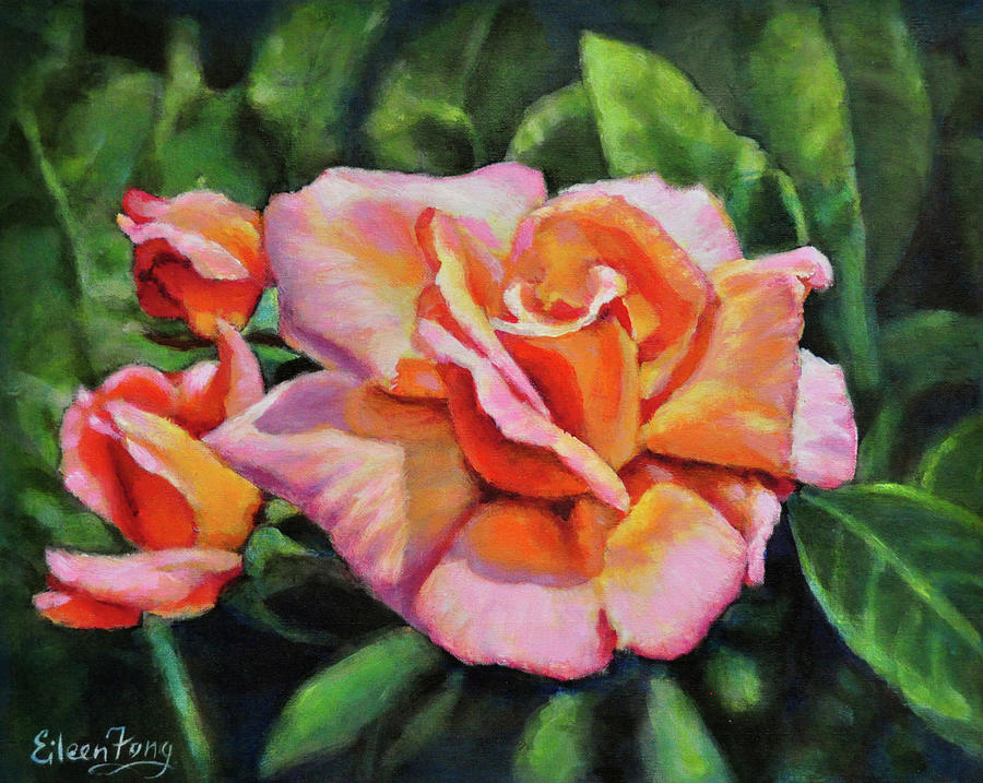 Peach Rose Glows Painting by Eileen  Fong