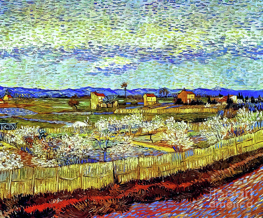Peach Trees In Blossom By Vincent Van Gogh 1889 Painting