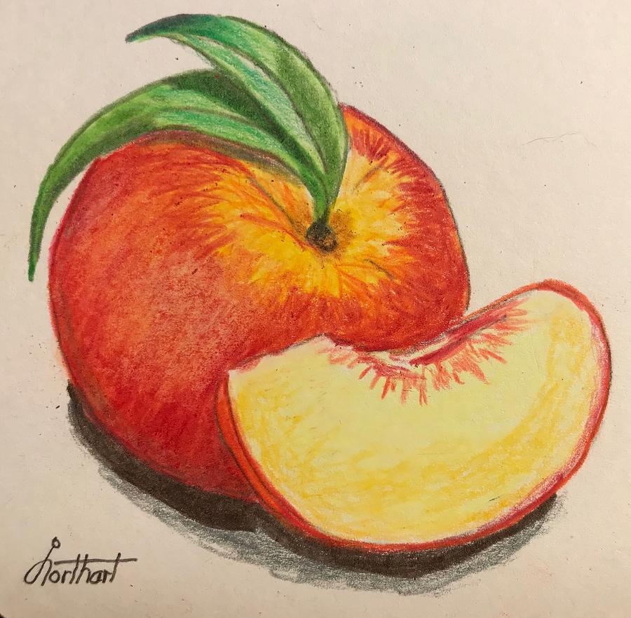 Peaches Drawing by Jack Northart Fine Art America