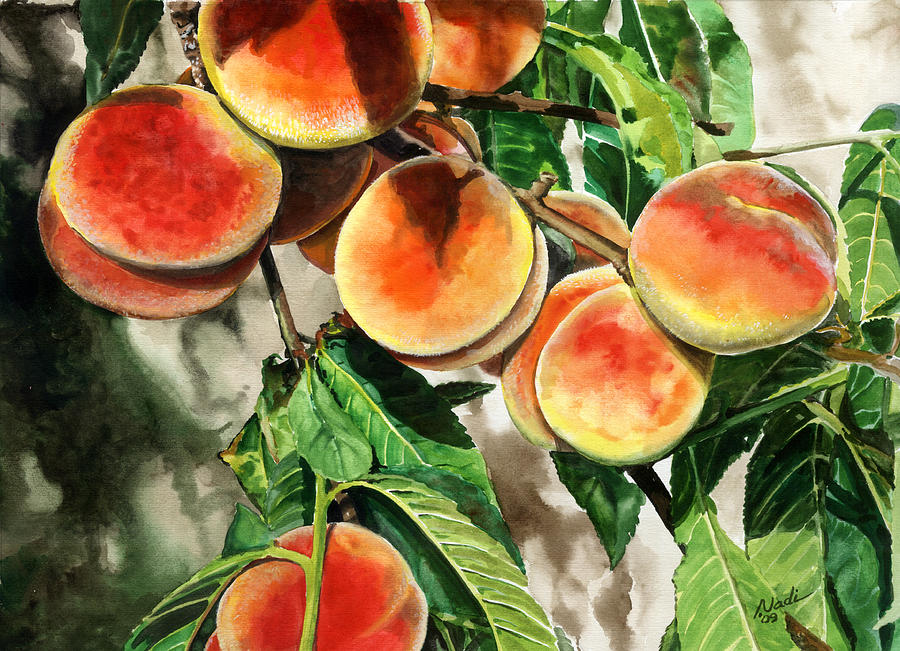 Peach Painting - Peaches by Nadi Spencer