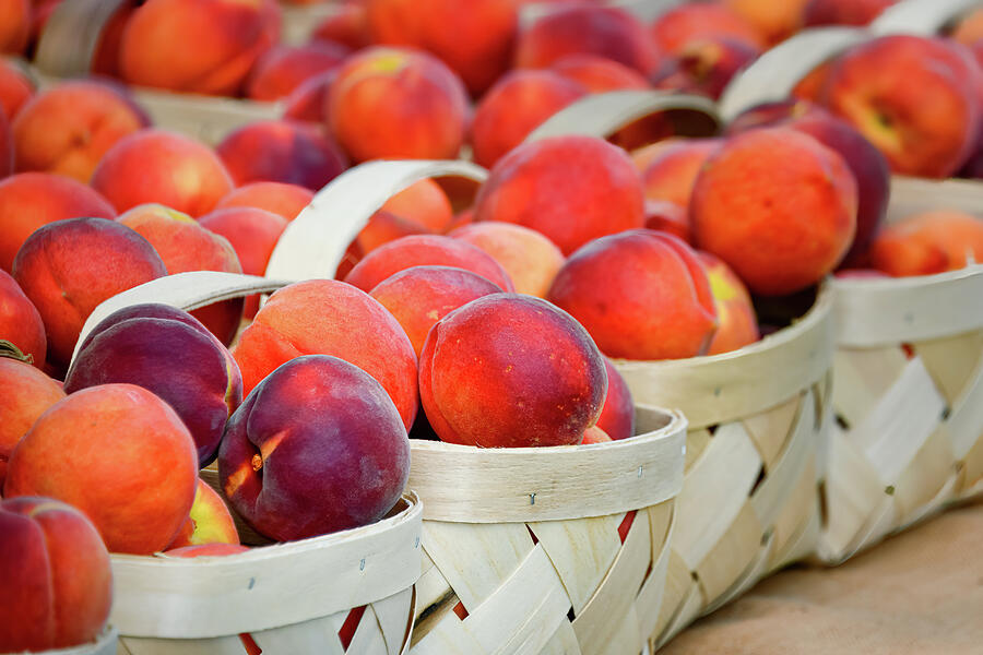 Peaches Ridge Peach Festival Trenton SC Photograph by John Kirkland