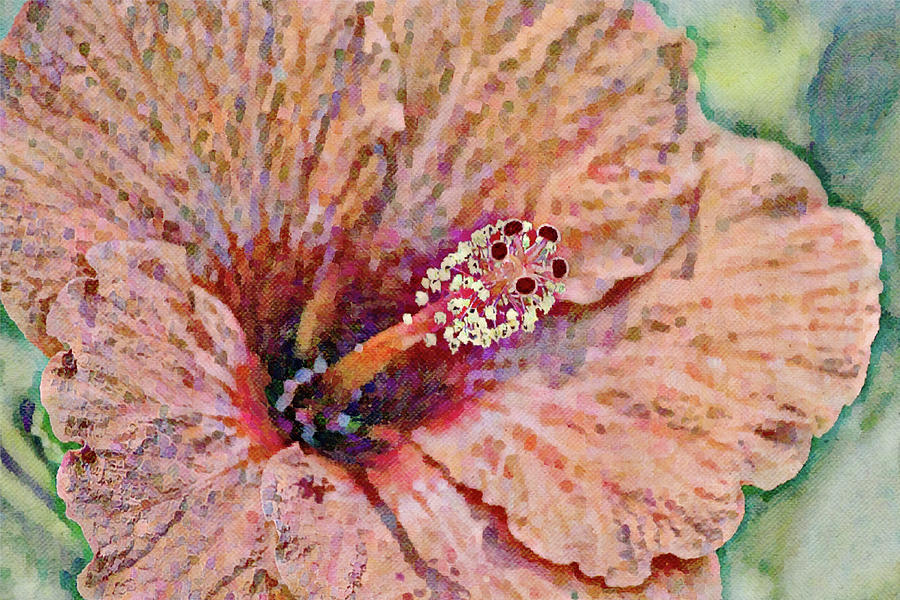 Peachy Orange Hibiscus Flower Impression Digital Art by Gaby Ethington