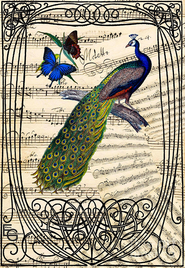 Peacock and Brazilian butterflies on a musical score framed by an art nouveau pattern, belle epoque, Mixed Media by Elena Gantchikova