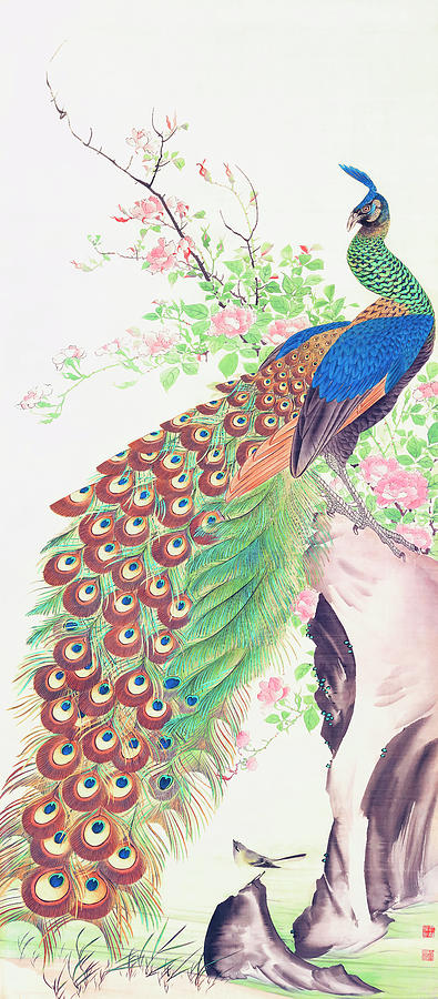 Peacock and flowers Painting by Nagasawa Roshu - Fine Art America