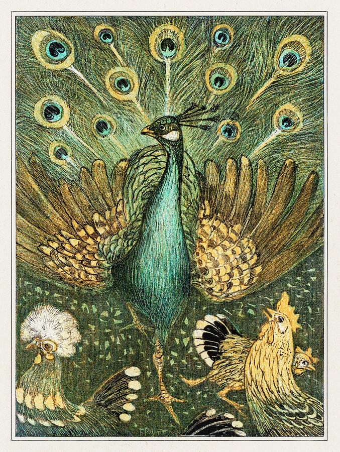 Peacock And Fowls Mixed Media by World Art Collective