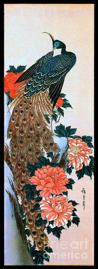 Peacock And Peonies Painting