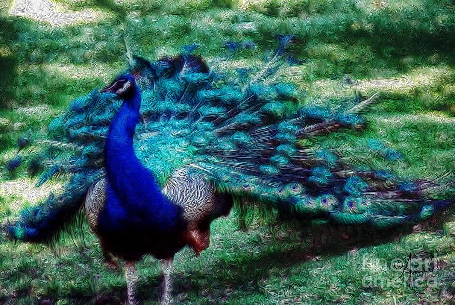 Peacock Photograph By Ann Pride Fine Art America 5423