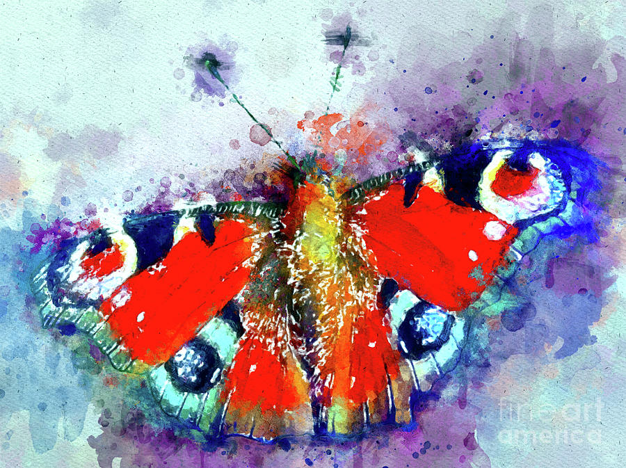 Butterfly Mixed Media - Peacock Butterfly  by Daniel Janda
