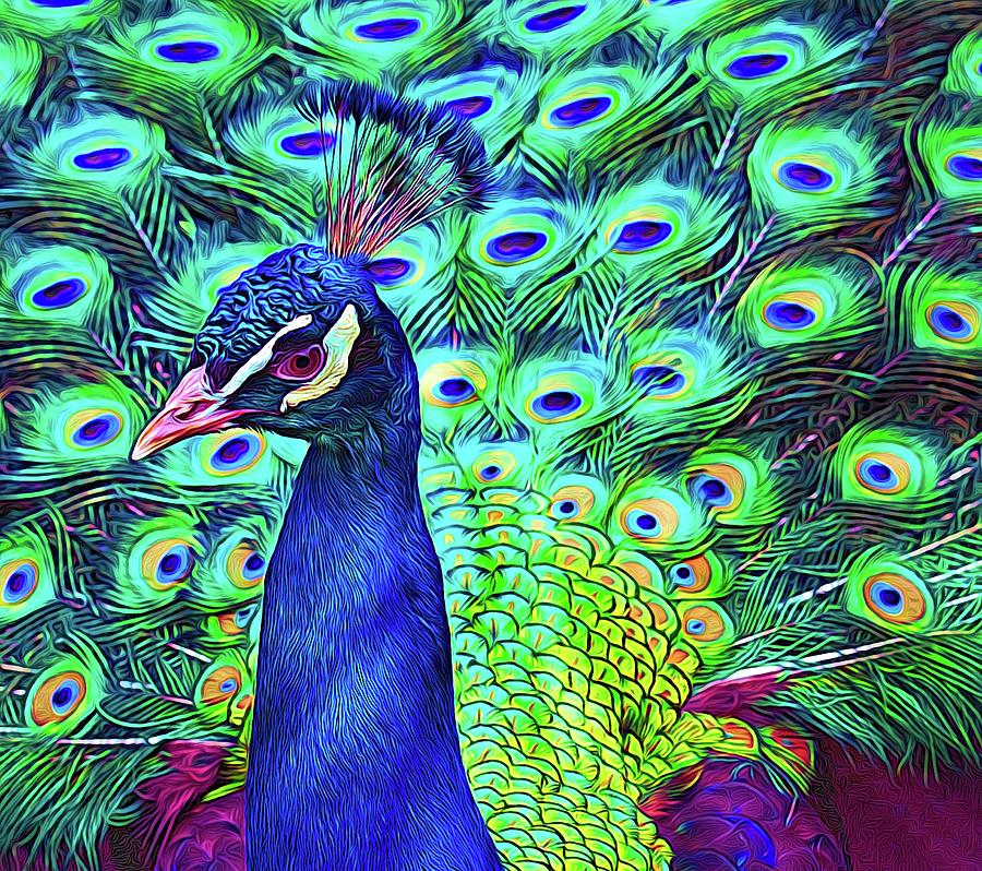Peacock Elegance by Alice Gipson Peacock Elegance by Alice Gipson