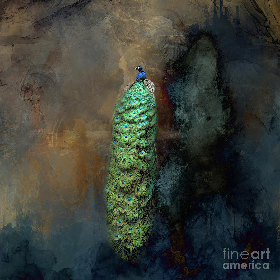 Peacock Elegance Mixed Media by Elisabeth Lucas | Fine Art America