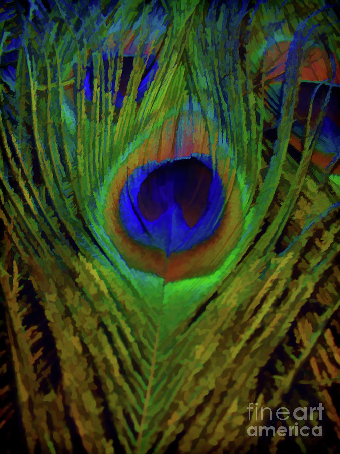 Peacock Feather Art 10 Photograph by D Hackett