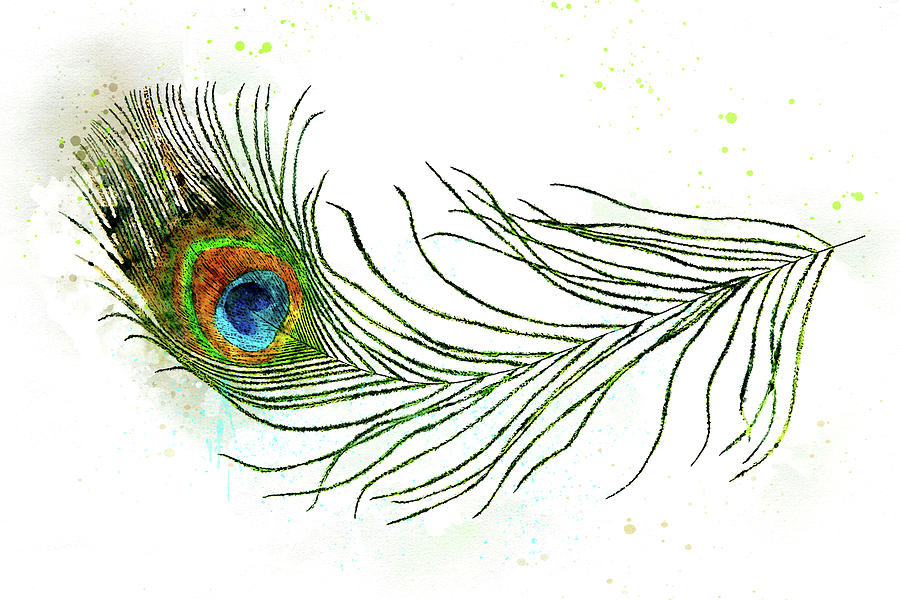 Peacock Feather in Watercolor Digital Art by Susan Maxwell Schmidt