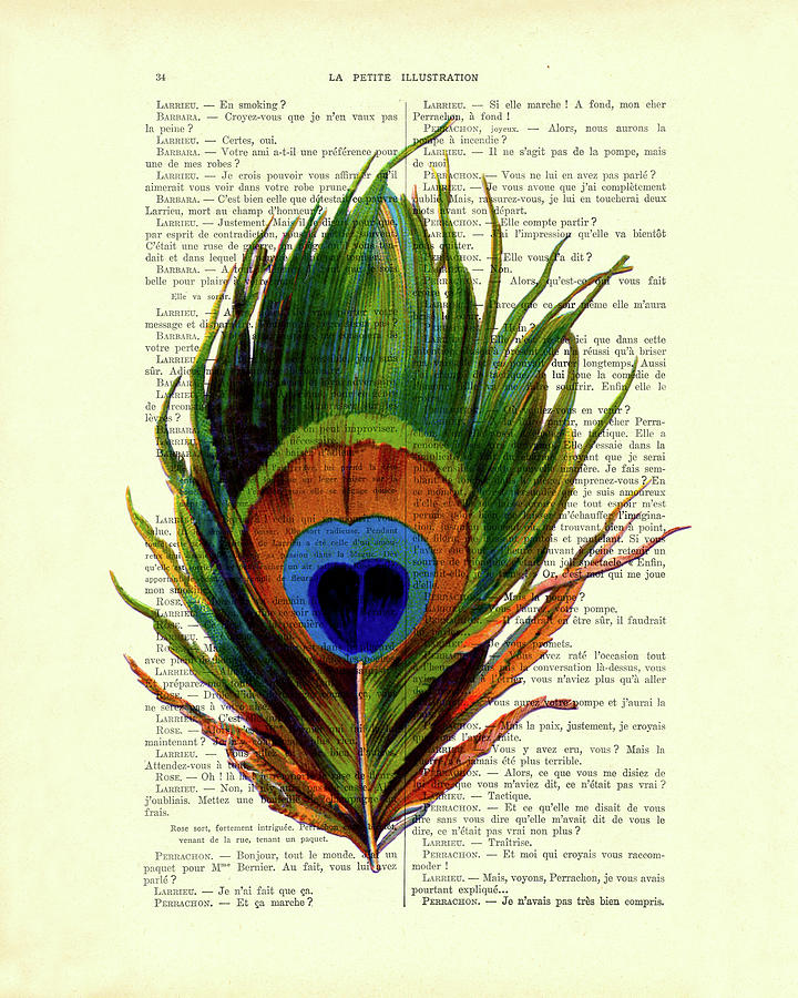 Peacock Digital Art - Peacock feather on French antique book page by Madame Memento