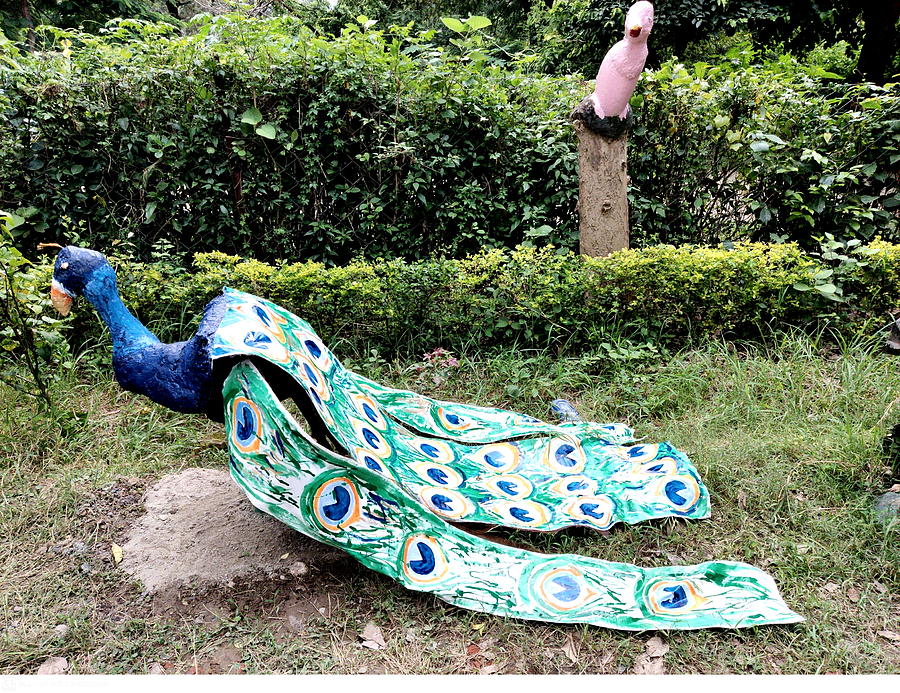 Peacock Sculpture From My Garden Sculpture by Anand Swaroop Manchiraju