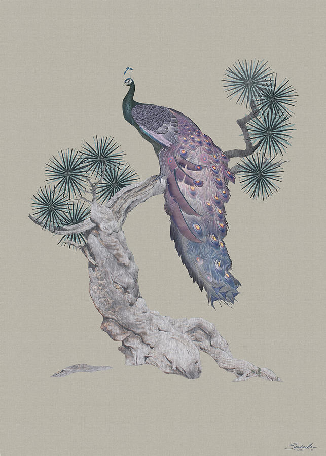 Peacock in Pine Tree Digital Art by M Spadecaller