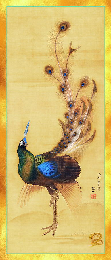 Peacock Digital Art by Jerzy Czyz