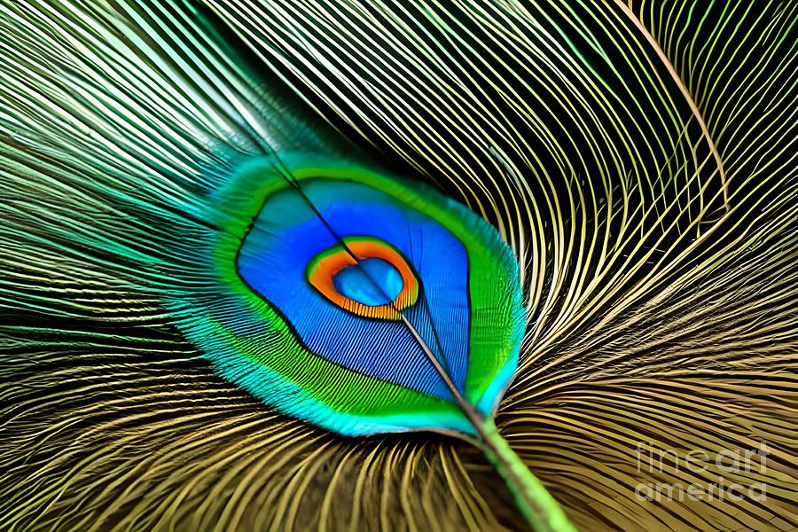 Peacock Leaf 1 Digital Art by Sandra Bussemas - Fine Art America