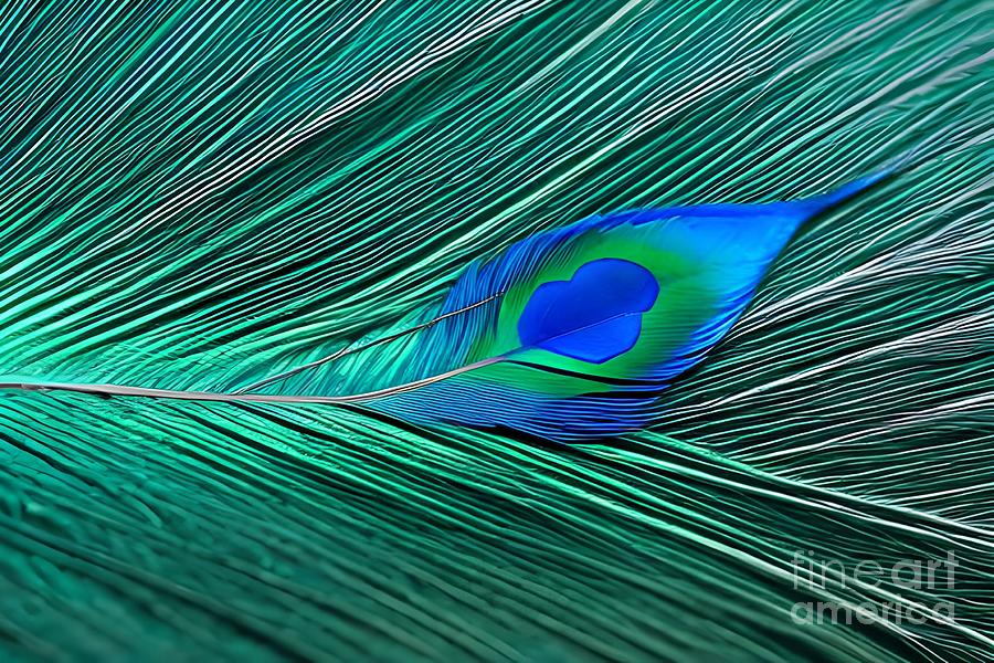 Peacock Leaf 5 Digital Art by Sandra Bussemas - Fine Art America