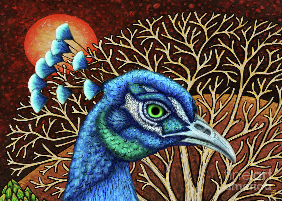 Peacock Moon Painting by Amy E Fraser