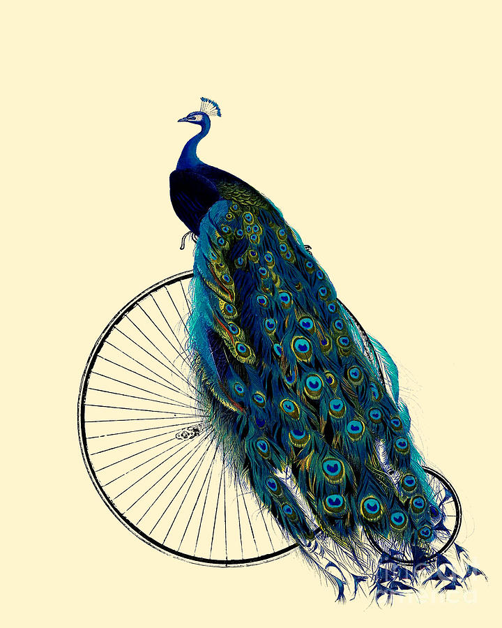 Peacock On A Bicycle, Home Decor Digital Art by Madame Memento