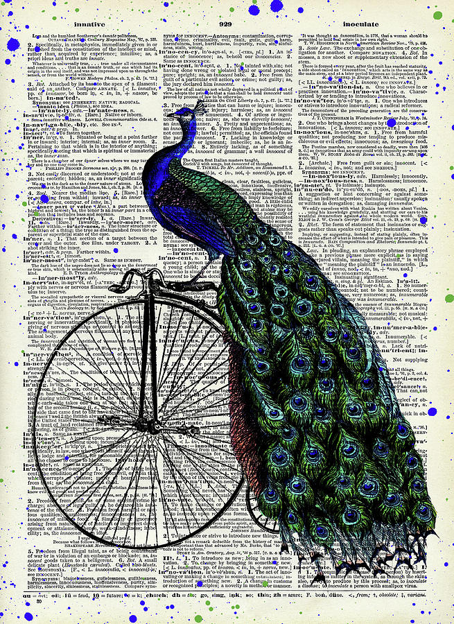 Peacock on bicycle Digital Art by Mihaela Pater Fine Art America