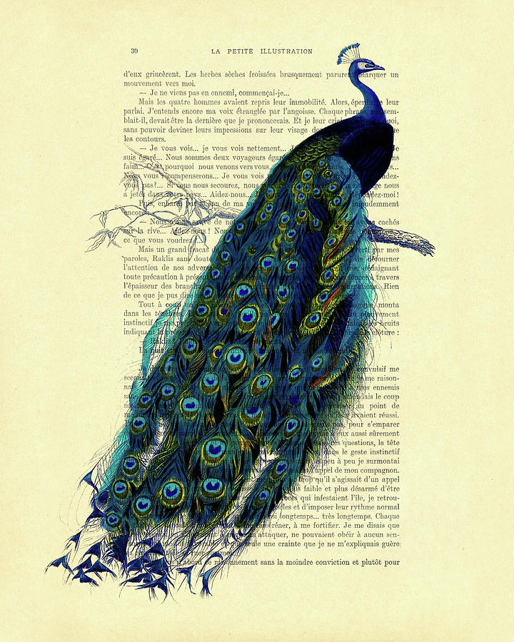 Peacock Mixed Media - Peacock on branch by Madame Memento