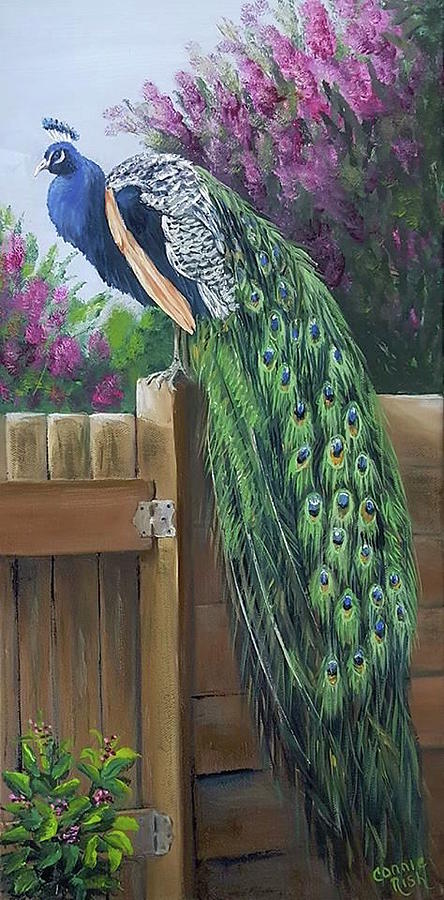 Peacock Perch Painting by Connie Rish