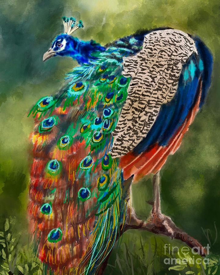 Peacock Pose Painting By Diane Mowery Fine Art America