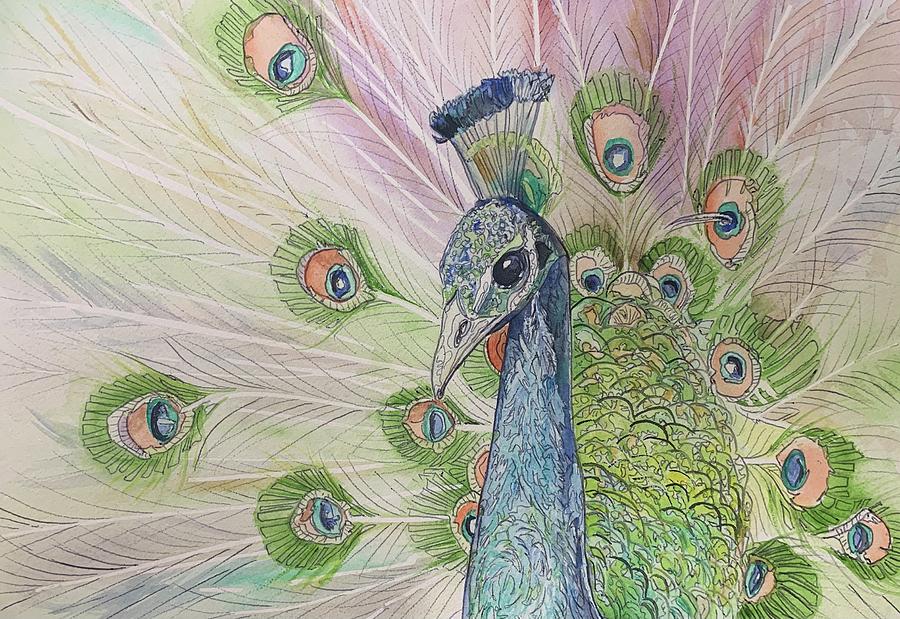 Peacock Painting by Rebekah Groh - Fine Art America