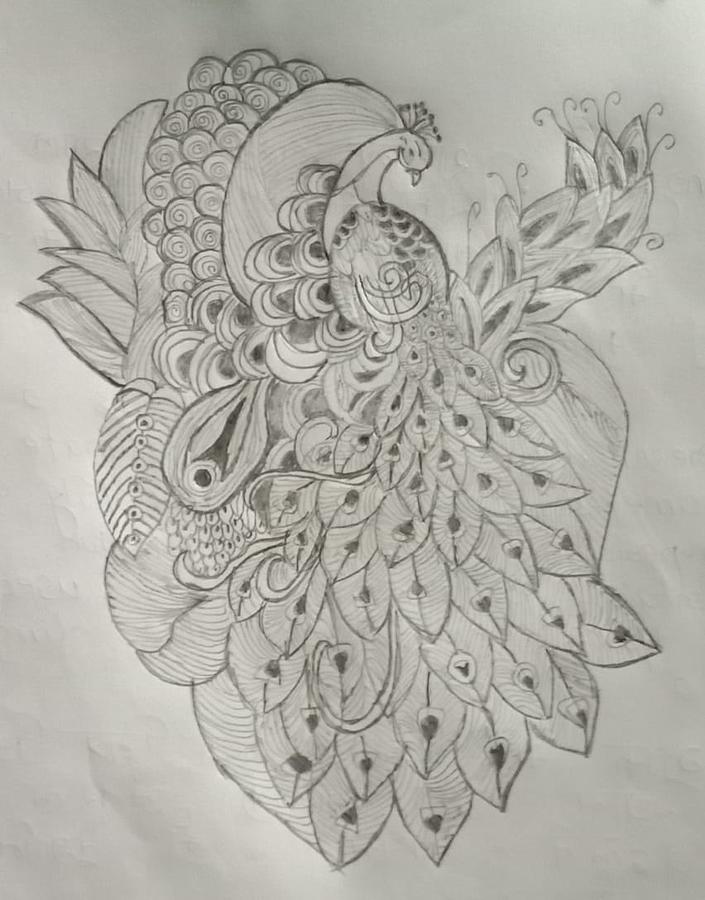 Pencil Sketch Artwork of Creative Peacock with Zentangle Art Style Stock  Image  Image of lineart artistic 232975047