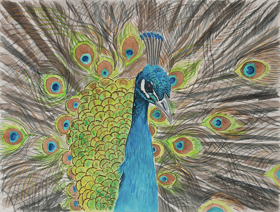 Peacock Season Painting by Bibi Gromling - Fine Art America