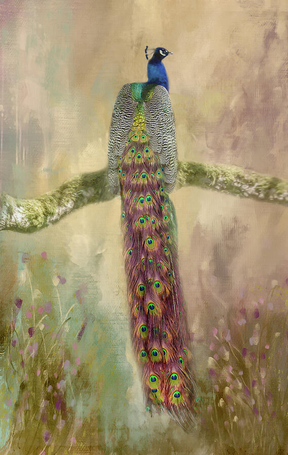 Peacock Series B, number 2 Photograph by Marilyn Wilson