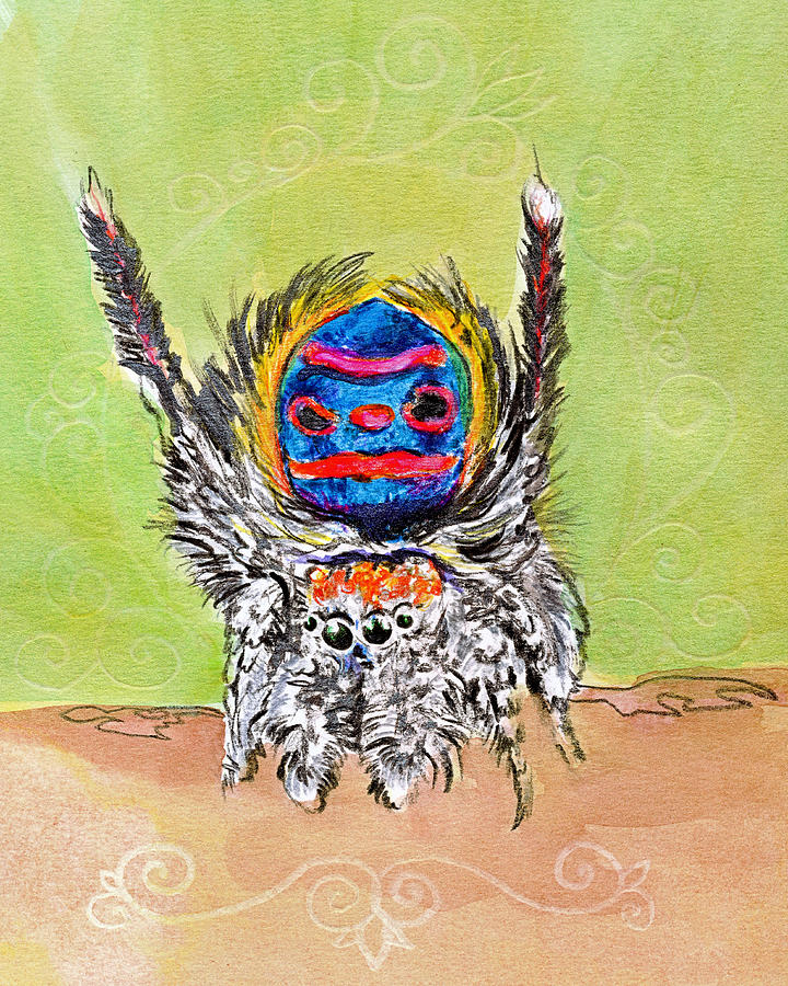 Peacock Spider Drawing by Katherine Nutt