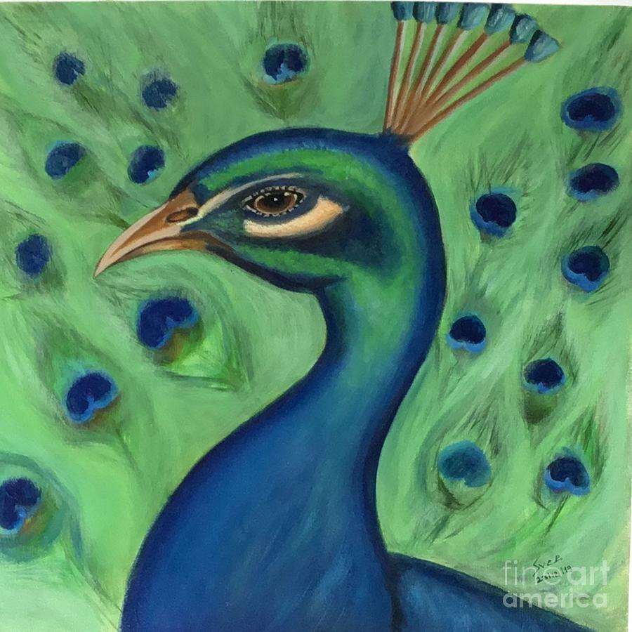 Peacock Painting by Sridhar Reddy Bandi - Fine Art America